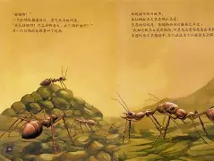 高雄红钱-斯坦布尔,本赛季淘汰赛终结